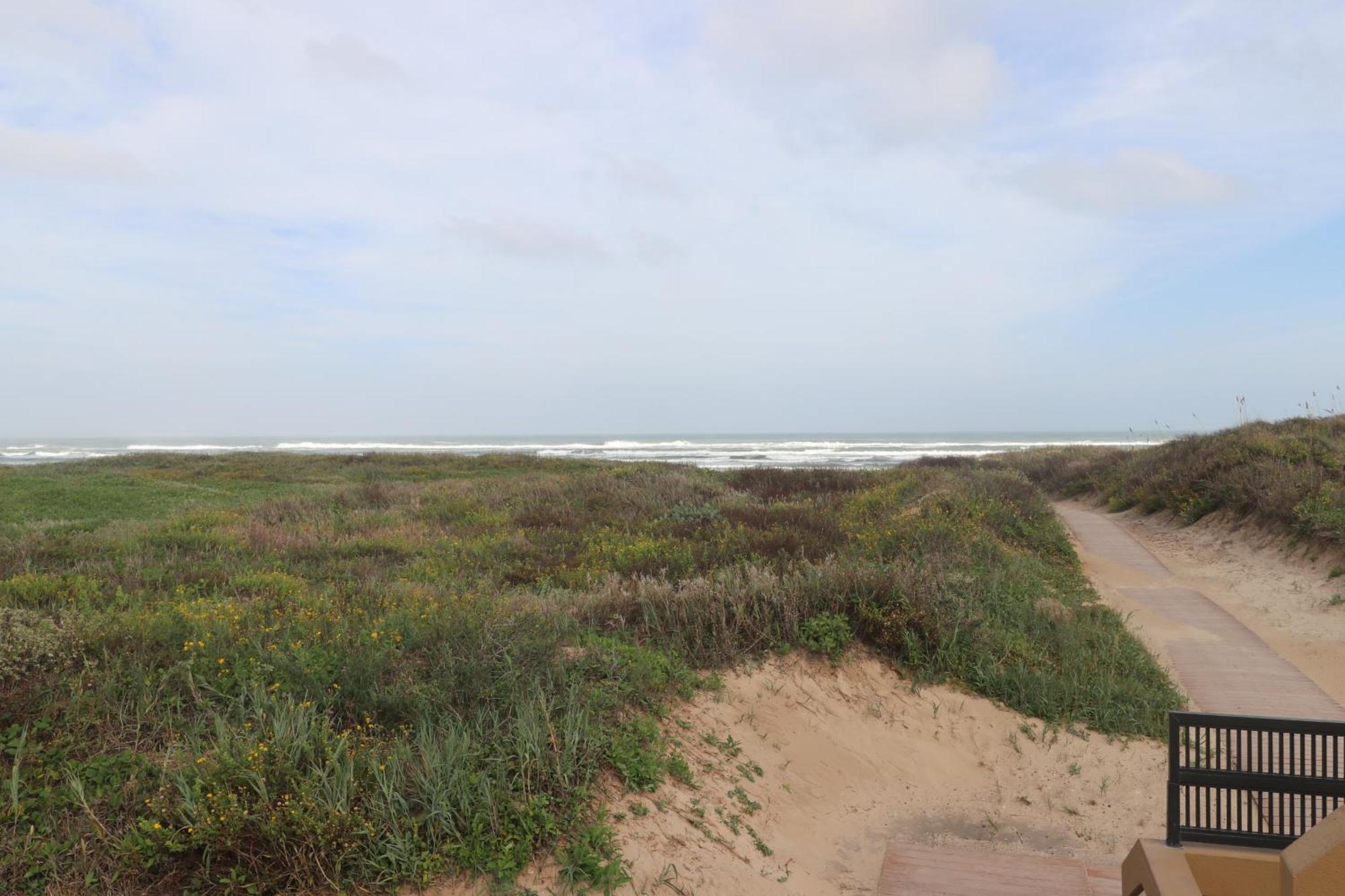 Bridgepoint Condominiums South Padre Island Exteriör bild